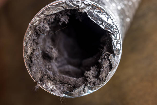 Best Ventilation Cleaning Services  in Orchard Homes, MT